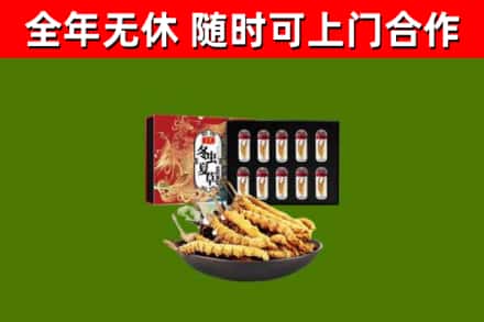 潮阳区回收冬虫夏草价格